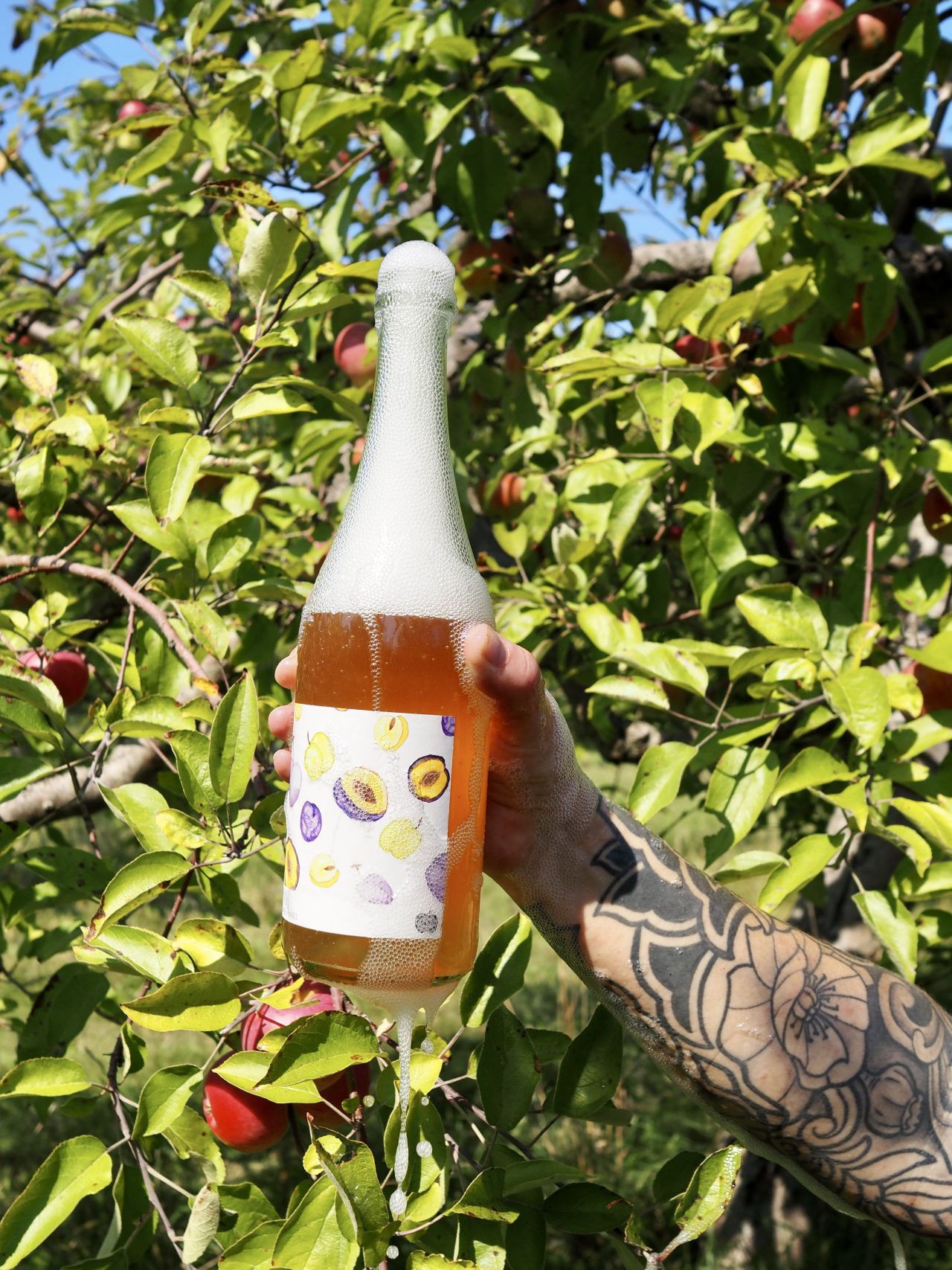 Cidre Prunes