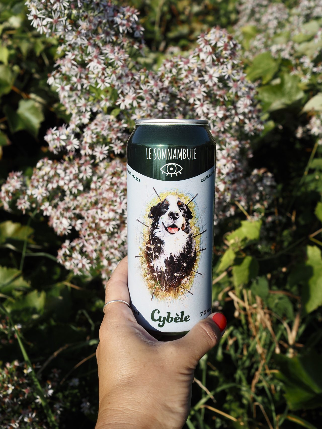 Cidre Cybèle